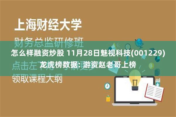 怎么样融资炒股 11月28日魅视科技(001229)龙虎榜数据: 游资赵老哥上榜