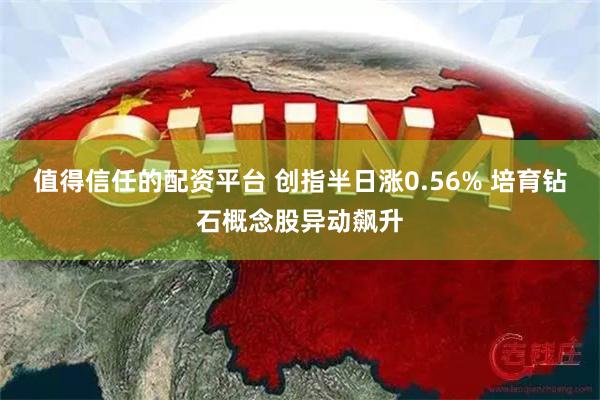 值得信任的配资平台 创指半日涨0.56% 培育钻石概念股异动飙升