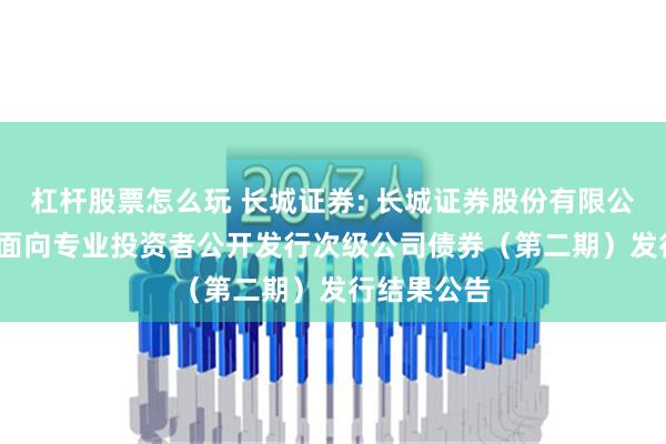 杠杆股票怎么玩 长城证券: 长城证券股份有限公司2024年面向专业投资者公开发行次级公司债券（第二期）发行结果公告